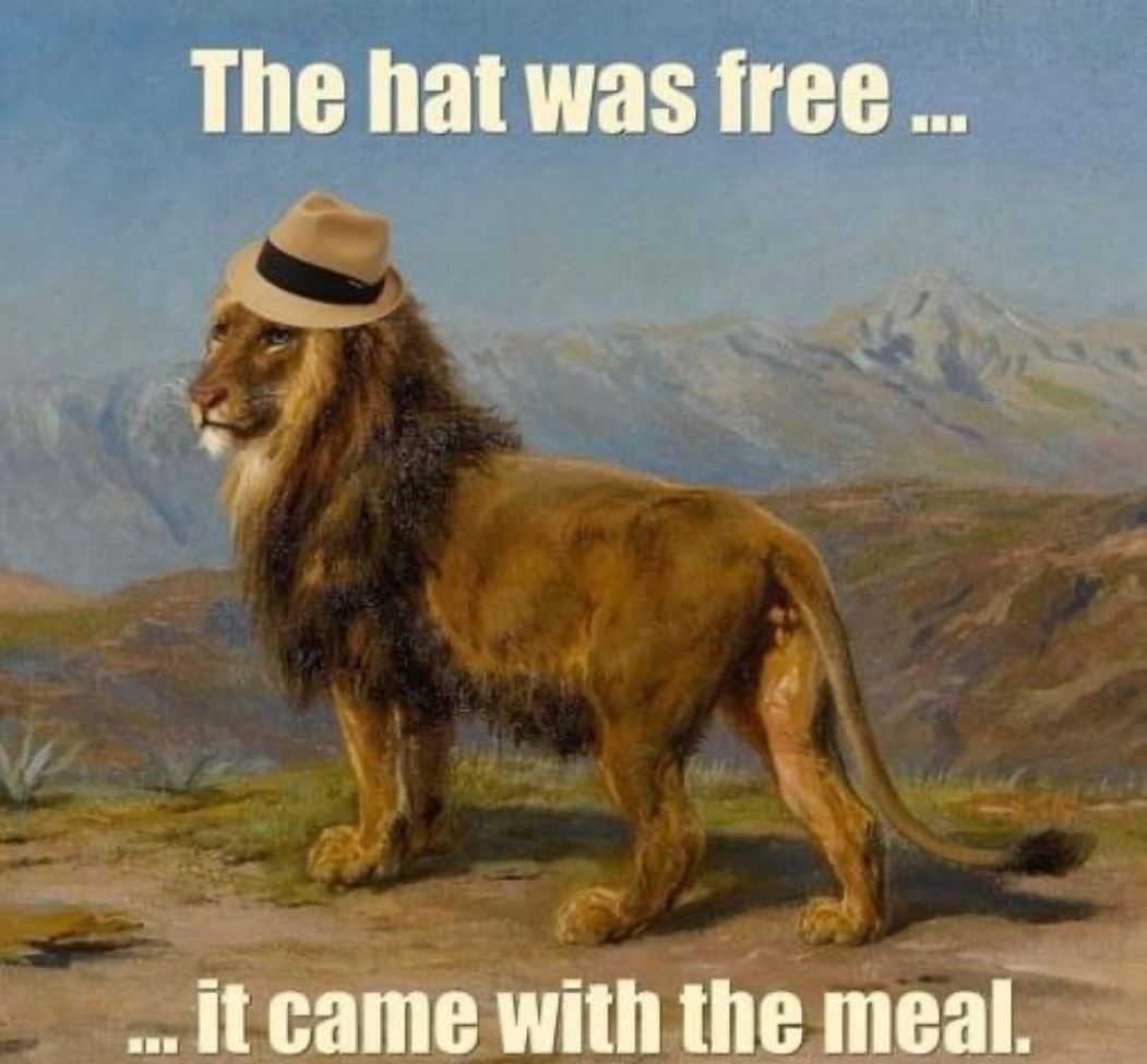 The Hat Was Free