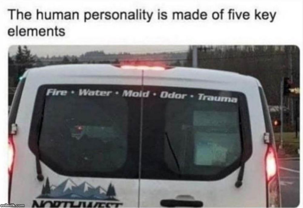 The Human Personality