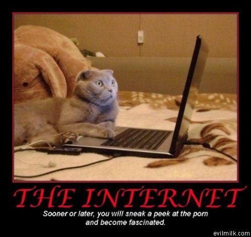 The Internet