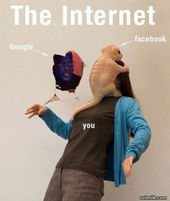 The Internet And You