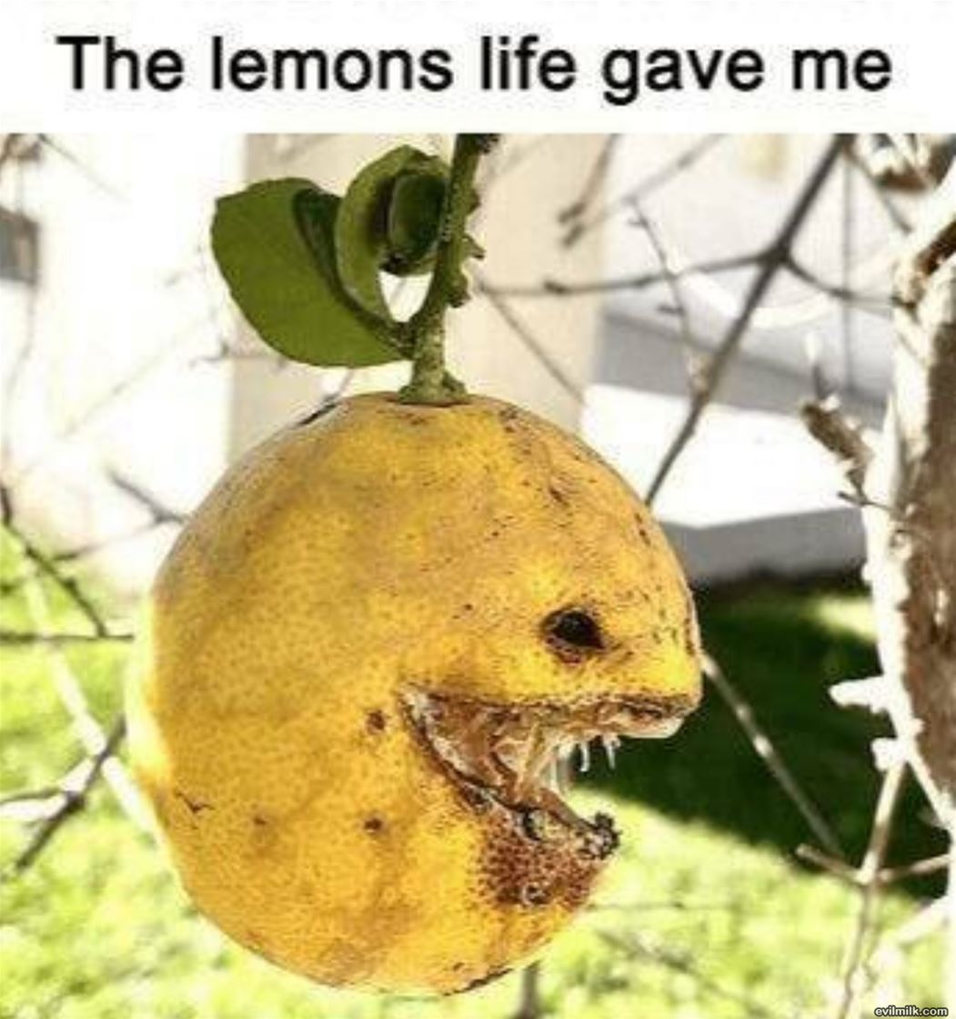 The Lemons