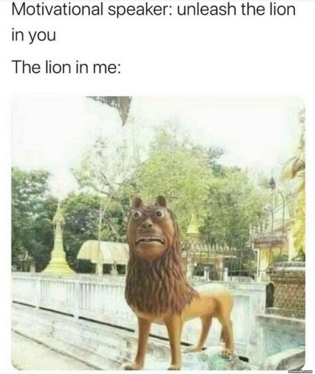 The Lion