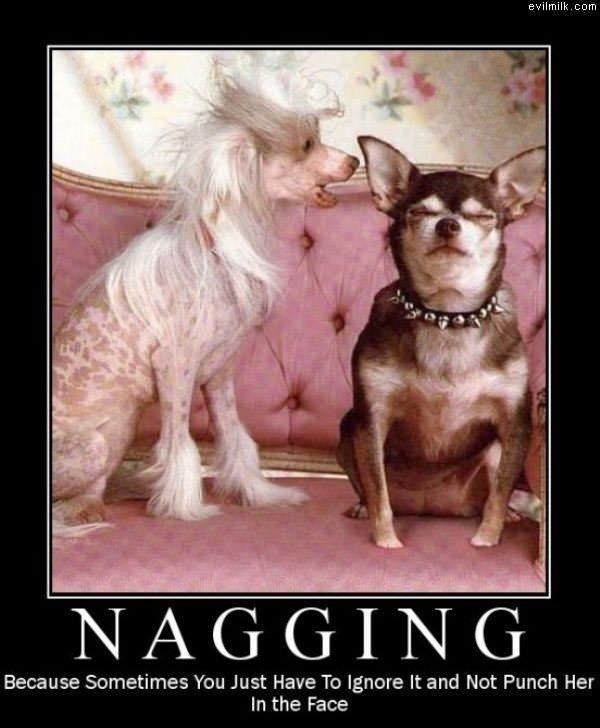 The Nagging