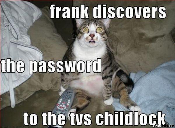 The Password