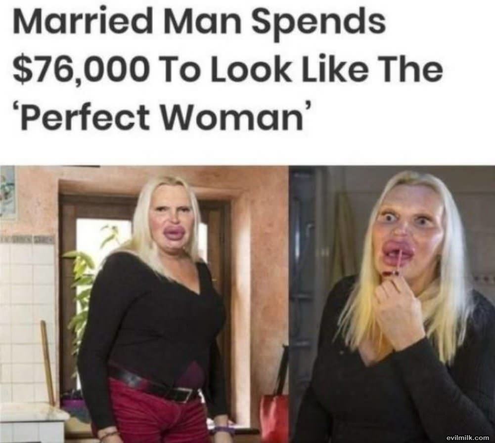 The Perfect Woman