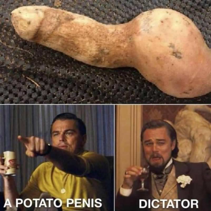 The Potato