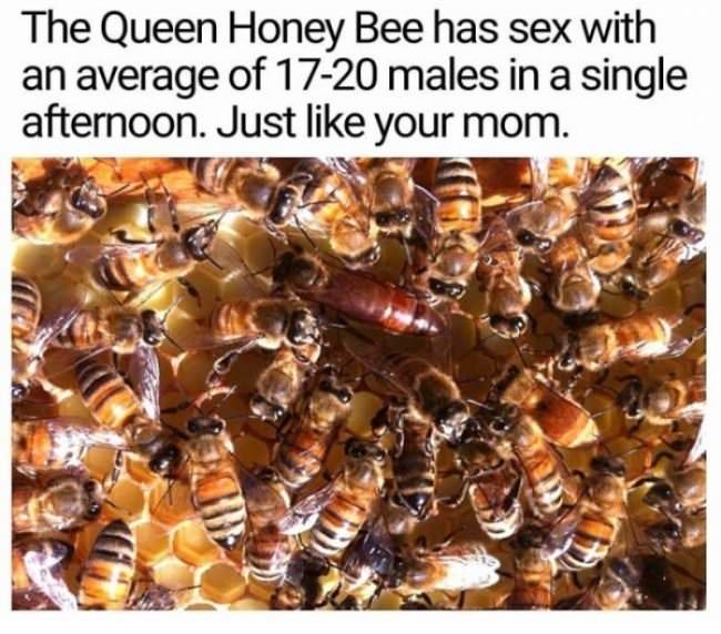 The Queen Bee