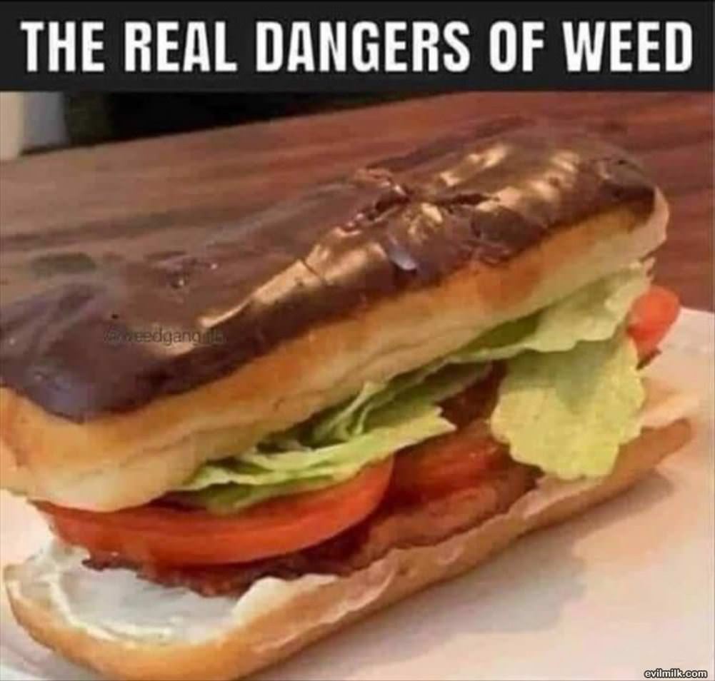 The Real Dangers