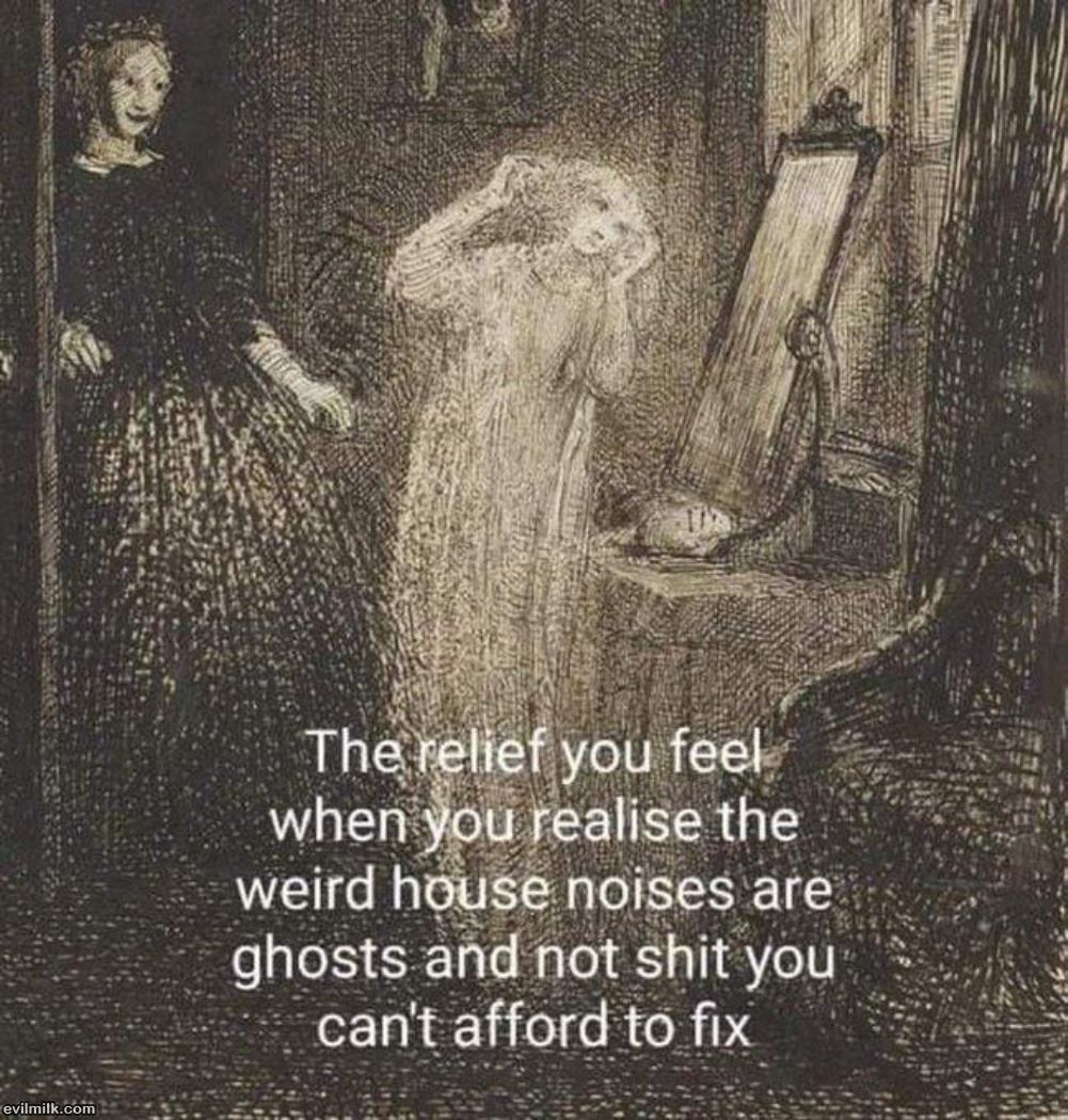 The Relief