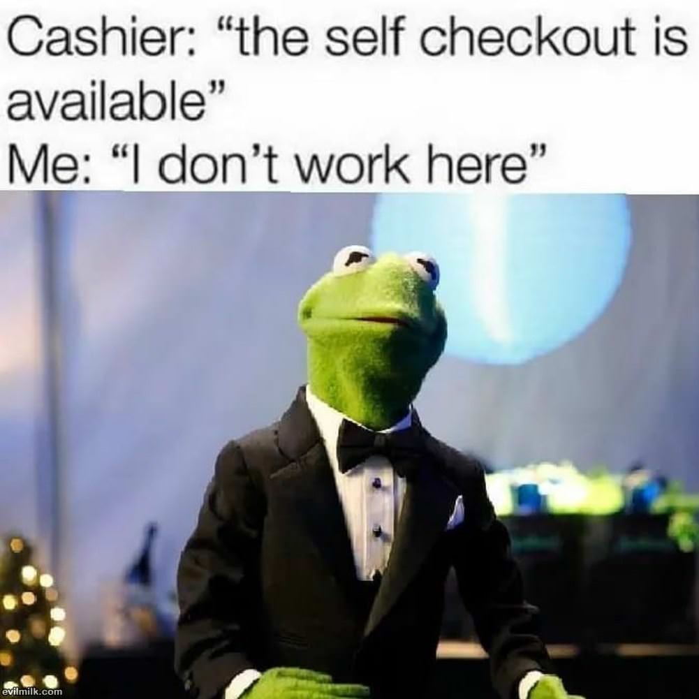 The Self Checkout