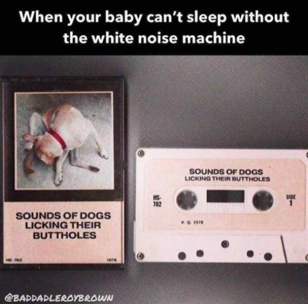 The White Noise Machine