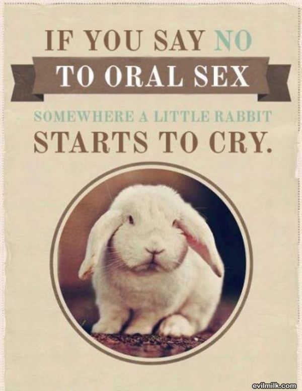 Think Of The Bunnies