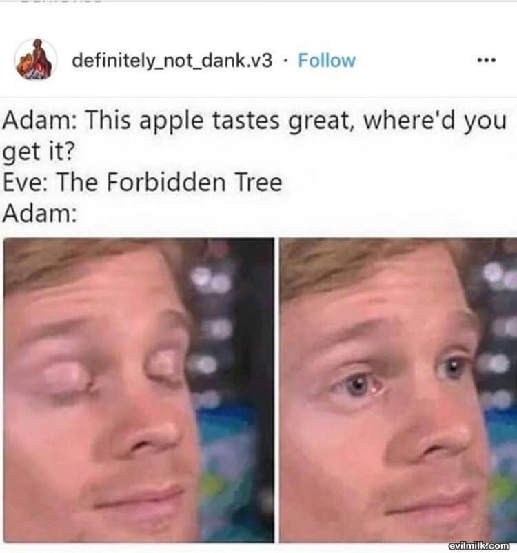 This Apple Tastes Great