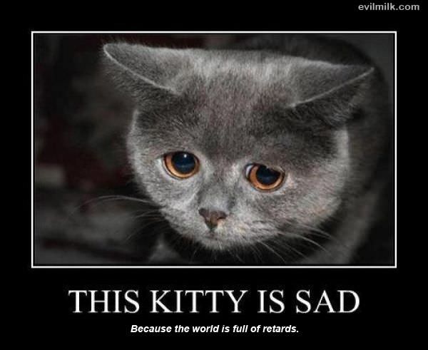 This Kitty Is Sad