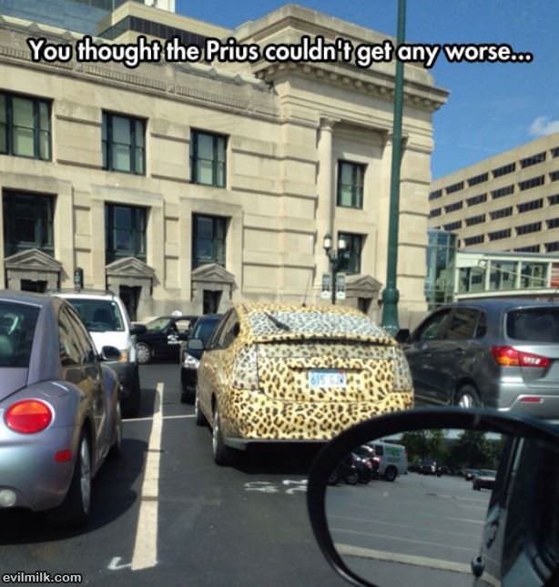 This Prius