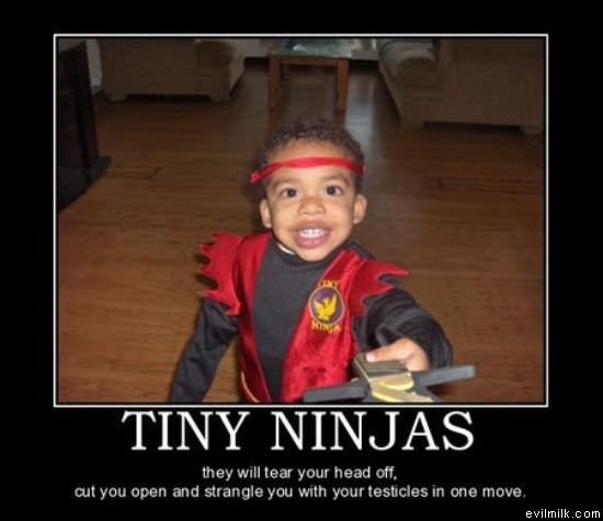 Tiny Ninjas