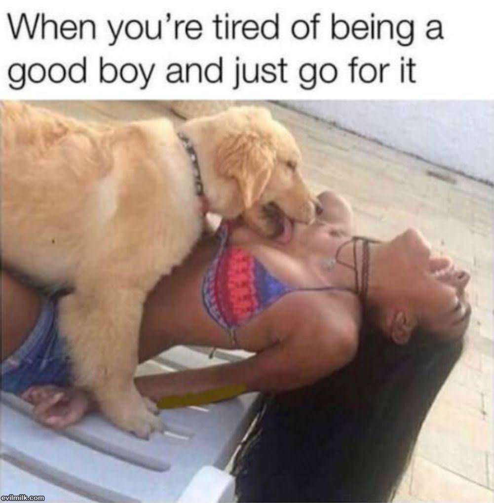 Tired Of This Good Boy Stuff