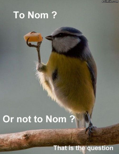 To Nom Or Not To Nom