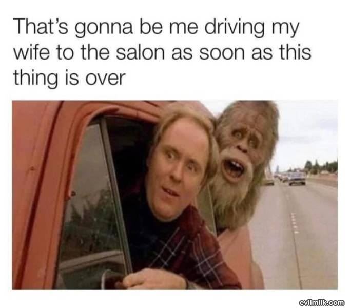 To The Salon