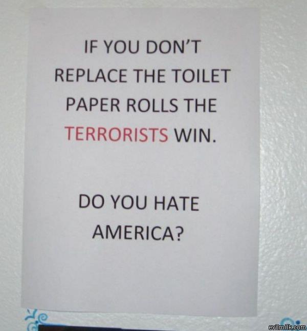 Toilet Paper Rolls