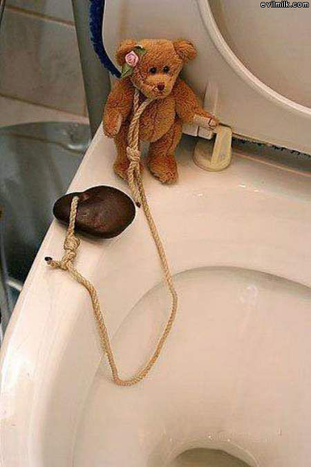 Toilet Suicide