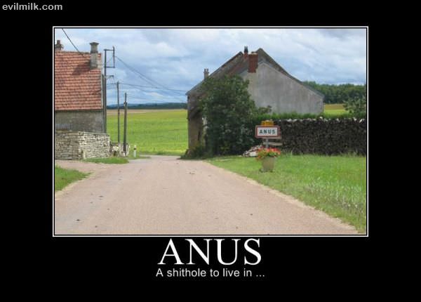 Town Of Anus