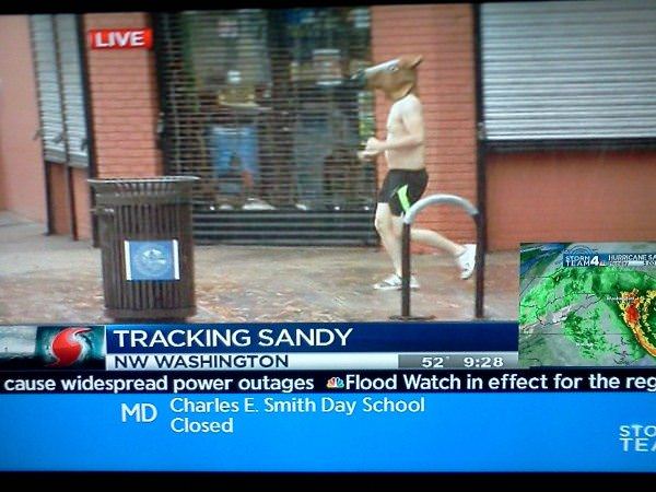 Tracking Sandy