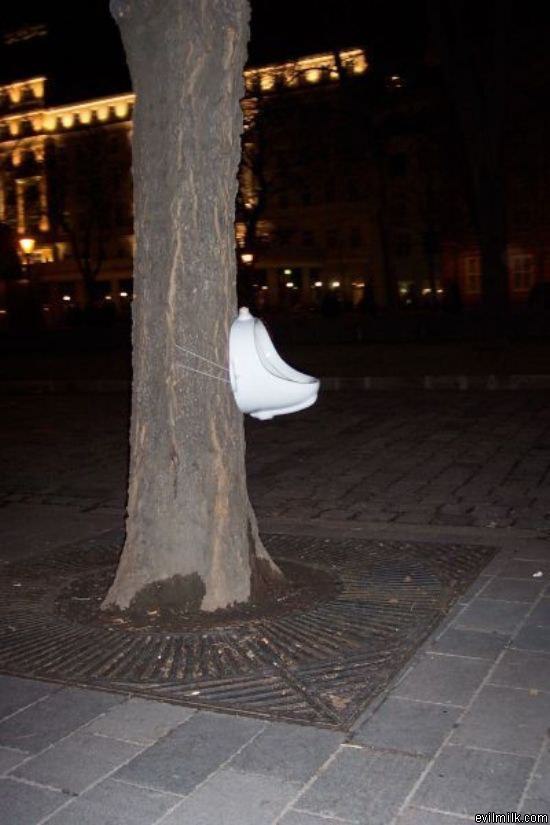 Tree Urinal