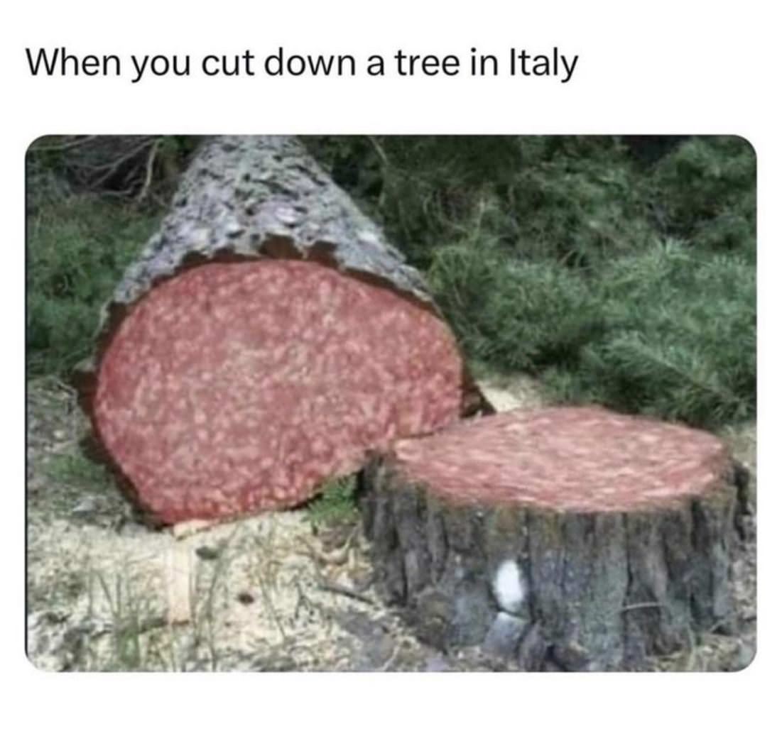 Trees In Italy