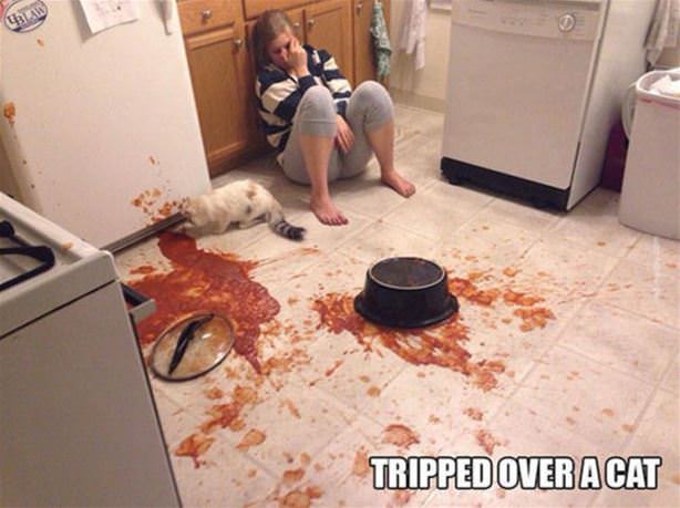 Tripped Over The Cat