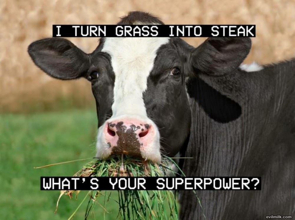 Turn Grass Into Steak