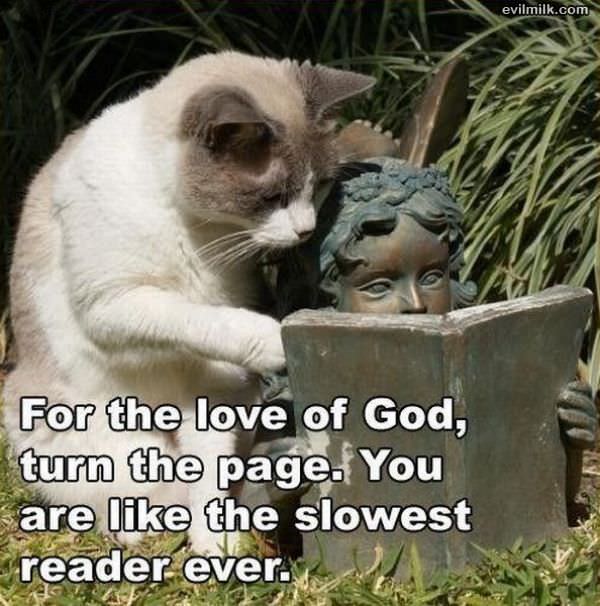 Turn The Page