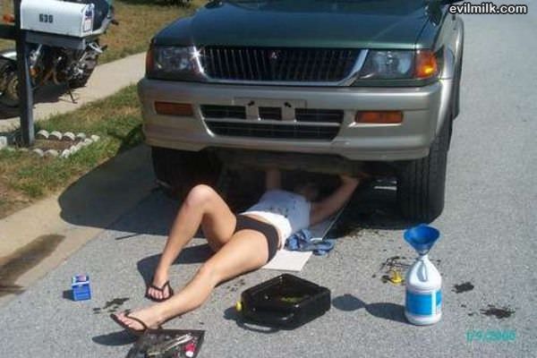 Typical Mechanic