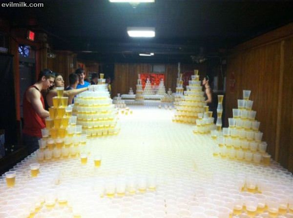 Ultimate Beer Pong