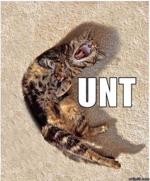 Unt