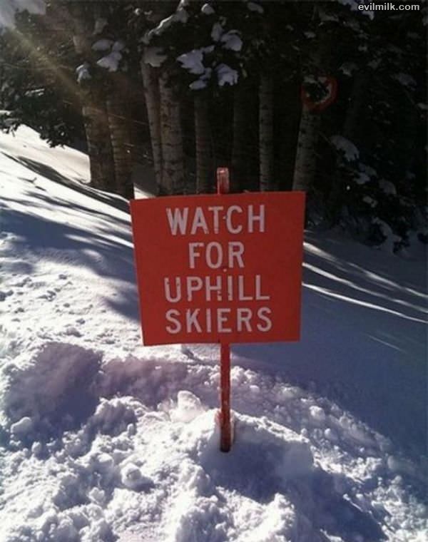 Uphill Skiers