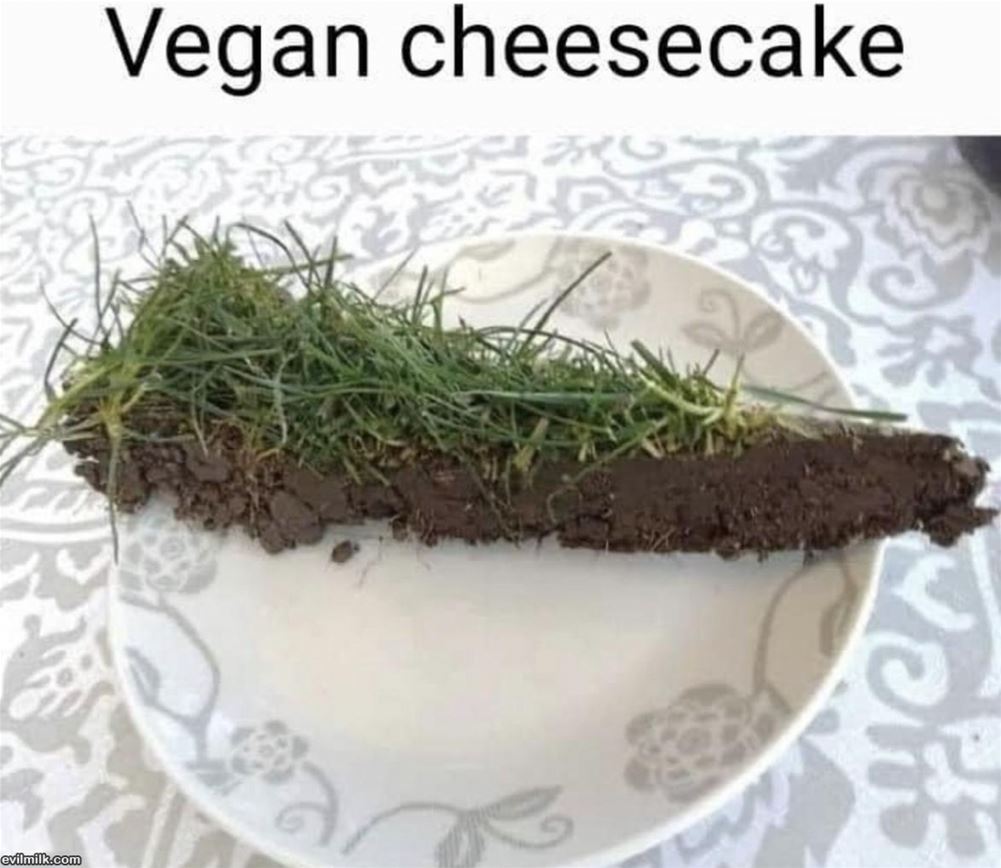 Vegan Stuff