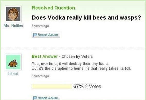 Vodka Kills Bees