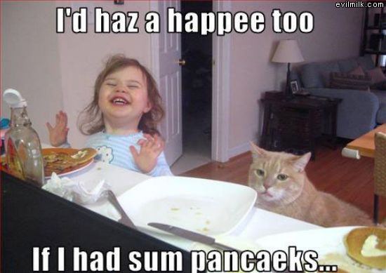 Want Pancakes