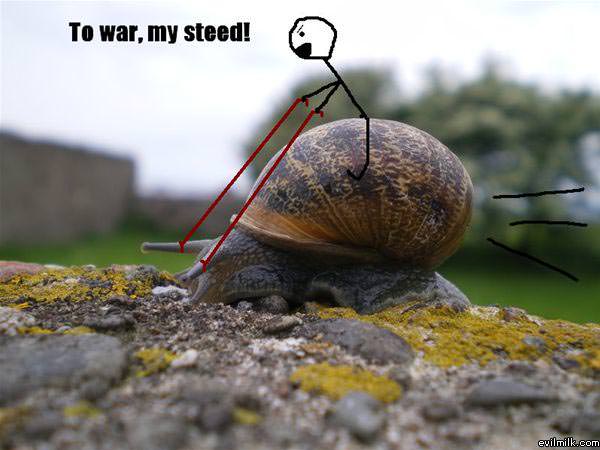 War Snail