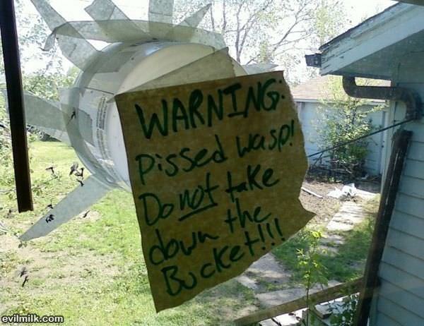 Warning Pissed Wasp