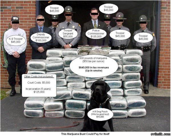 Weed Bust