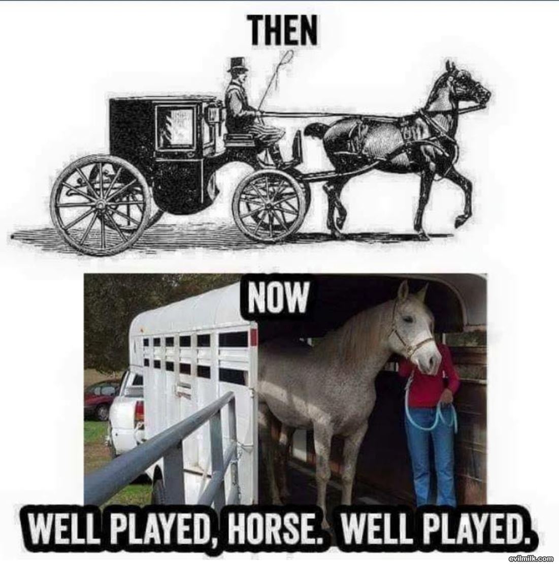 Well Played Horse