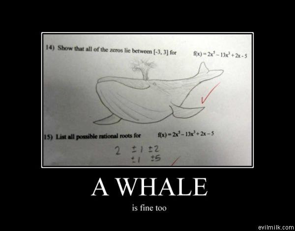 Whale