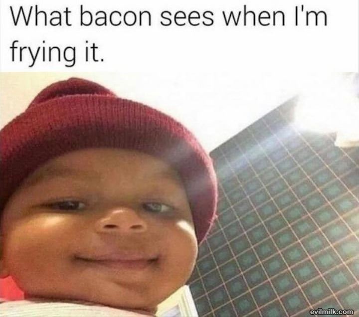 What The Bacon Sees