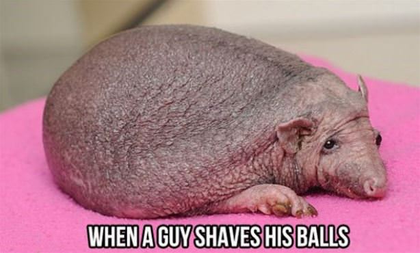 When A Guy Shaves