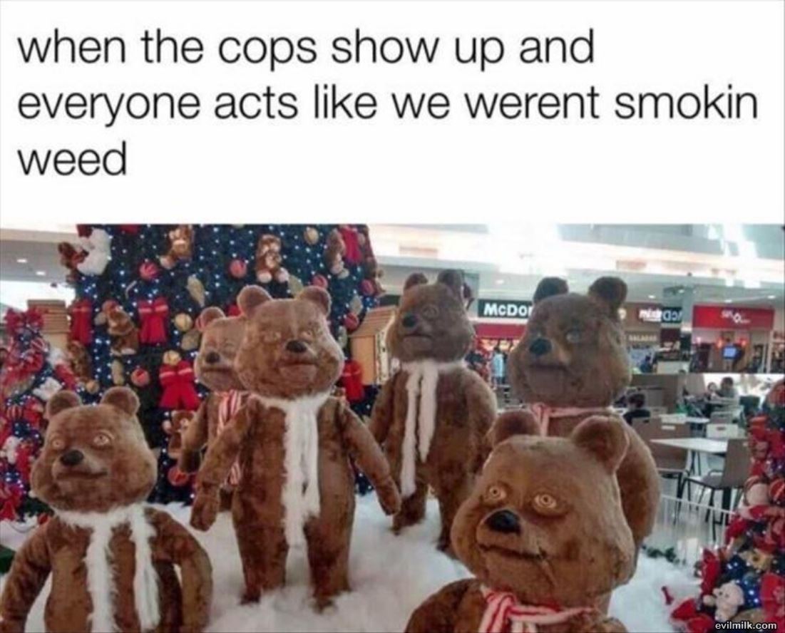 When The Cops Show Up