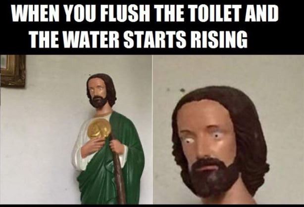 When You Flush