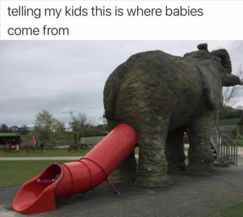 Where Babies Come From