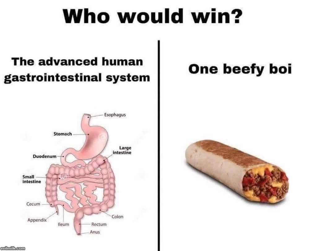 Who Would Win